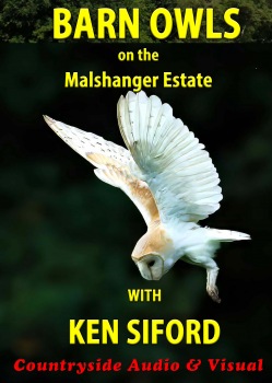 Barn Owls on the Malshanger Estate