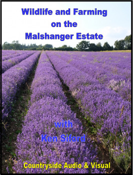 Wildlife and Farming on the Malshanger Estate