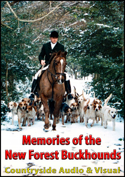 Memories of the New Forest Buckhounds