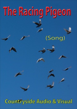The Racing Pigeon (Song)